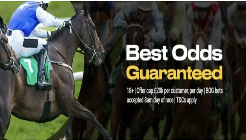 Horse betting sites